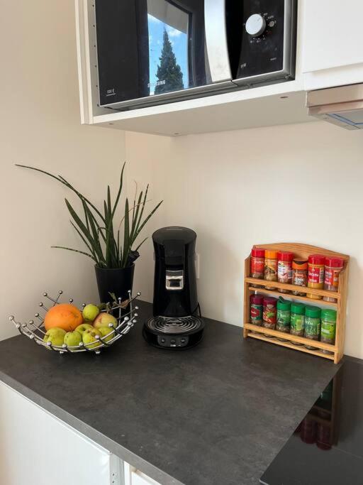 Esbly Apartment With Balcony Near Disneyland. מראה חיצוני תמונה